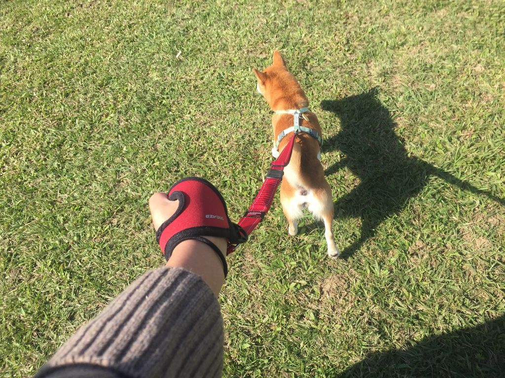 IMG_1087.JPG IMG_1087.JPG