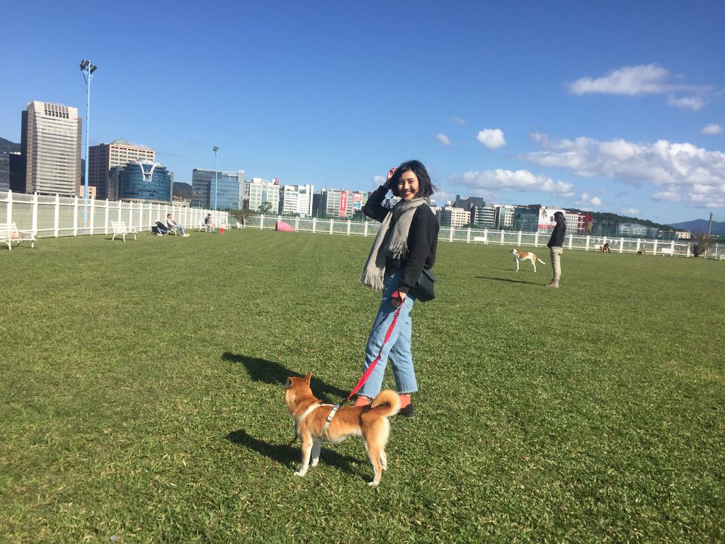 IMG_1252.JPG IMG_1252.JPG