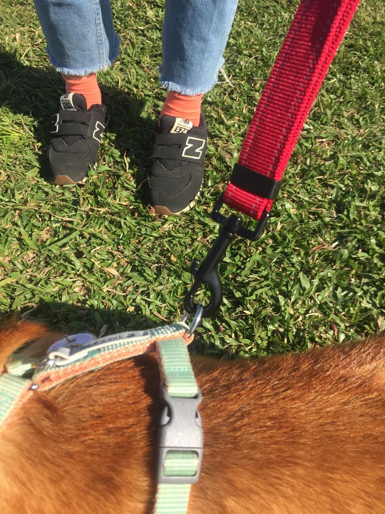 IMG_1259.JPG IMG_1259.JPG