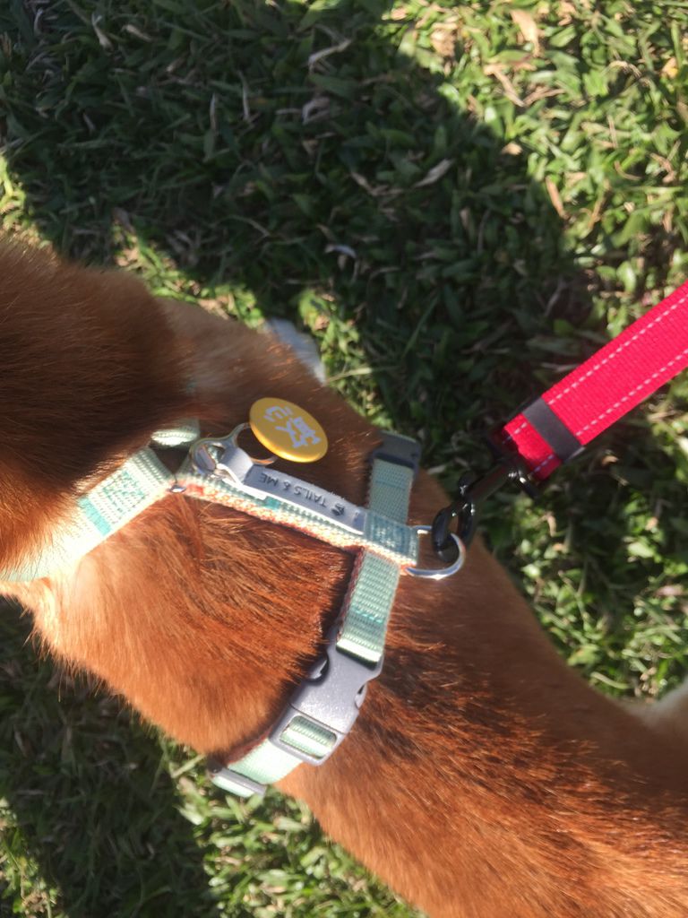 IMG_1263.JPG IMG_1263.JPG