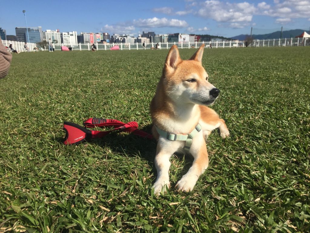 IMG_1314.JPG IMG_1314.JPG