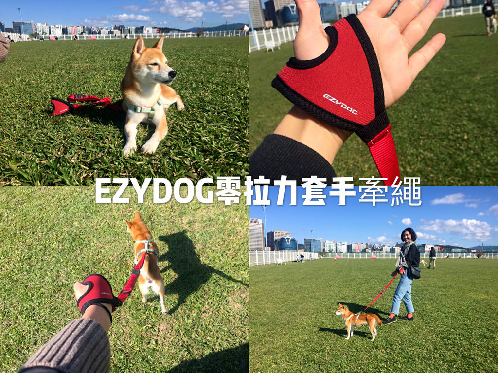 IMG_6172.JPG IMG_6172.JPG