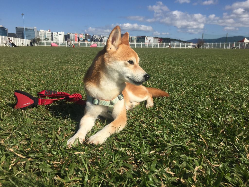 IMG_1308.JPG IMG_1308.JPG