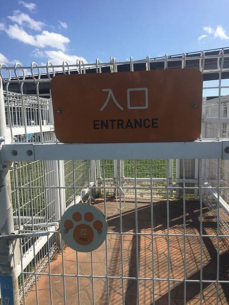 IMG_1114.JPG IMG_1114.JPG