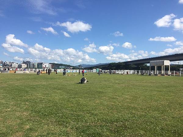 IMG_1101.JPG IMG_1101.JPG