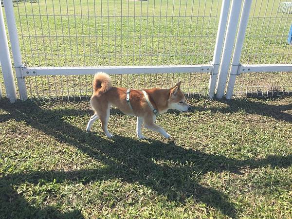 IMG_1131.JPG IMG_1131.JPG