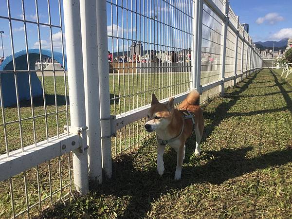 IMG_1136.JPG IMG_1136.JPG