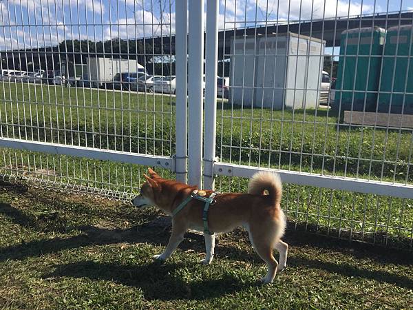 IMG_1144.JPG IMG_1144.JPG