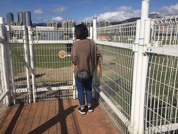 IMG_1128.JPG IMG_1128.JPG