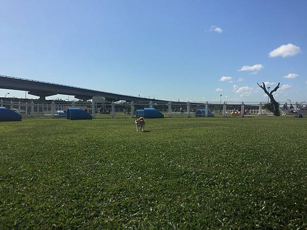 IMG_1150.JPG IMG_1150.JPG