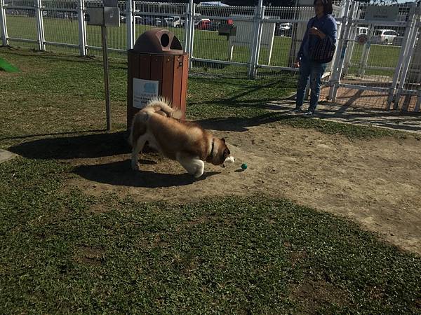 IMG_1164.JPG IMG_1164.JPG