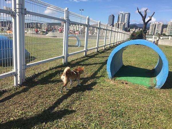 IMG_1133.JPG IMG_1133.JPG