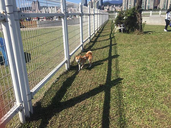 IMG_1135.JPG IMG_1135.JPG