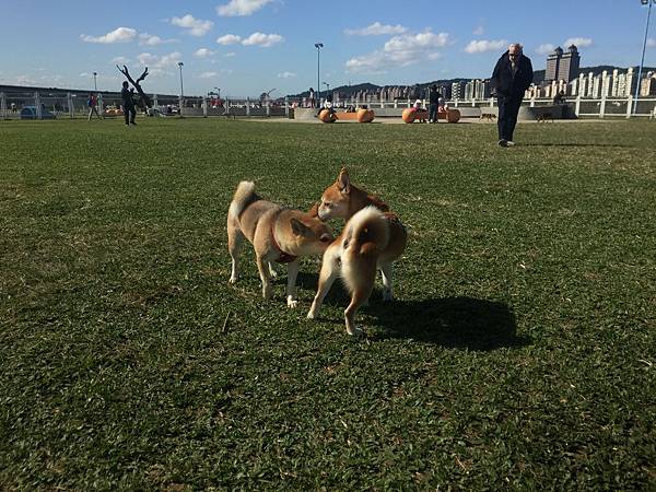 IMG_1167.JPG IMG_1167.JPG