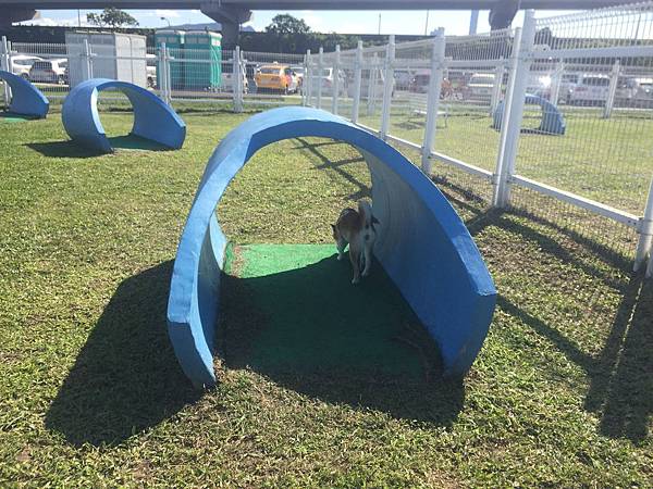 IMG_1138.JPG IMG_1138.JPG