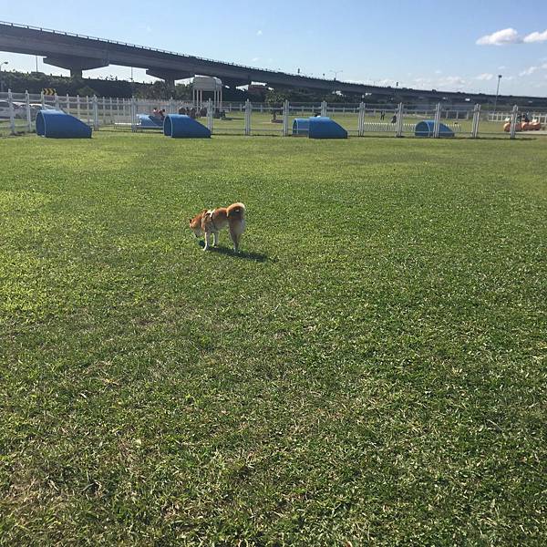 IMG_1175.JPG IMG_1175.JPG