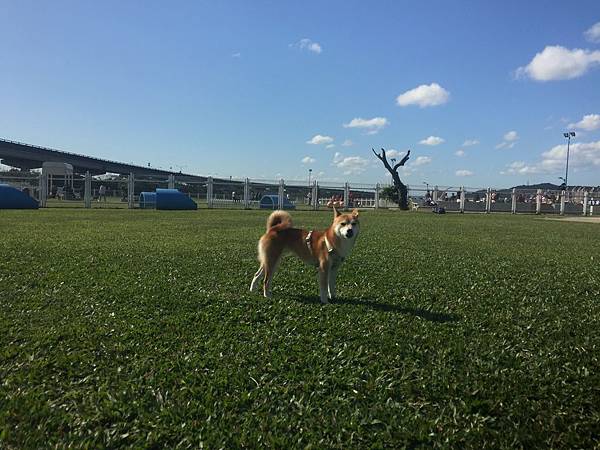 IMG_1154.JPG IMG_1154.JPG