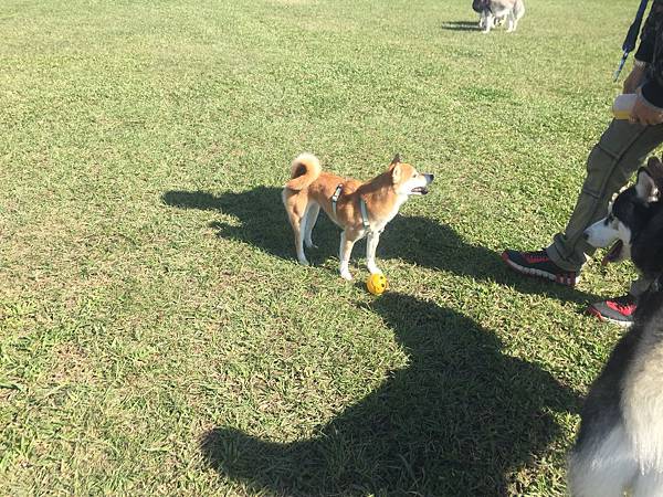 IMG_1185.JPG IMG_1185.JPG