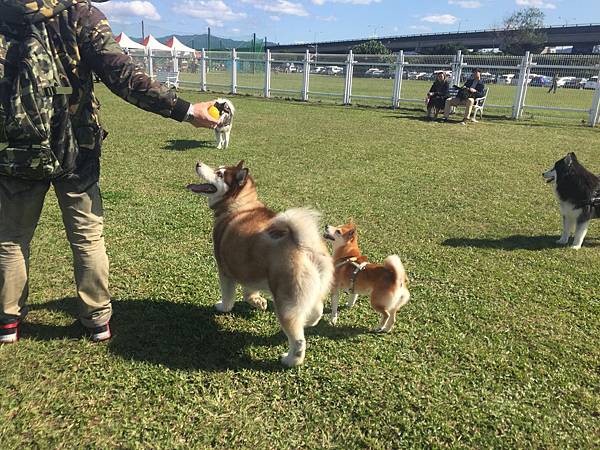 IMG_1187.JPG IMG_1187.JPG