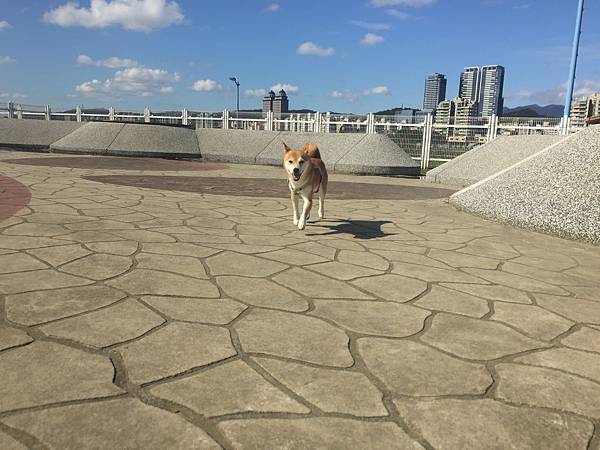 IMG_1173.JPG IMG_1173.JPG