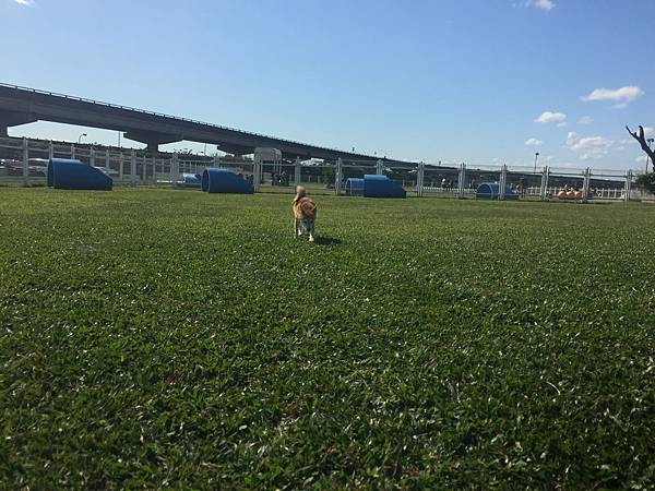 IMG_1153.JPG IMG_1153.JPG