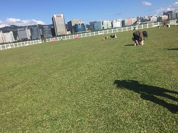 IMG_1183.JPG IMG_1183.JPG