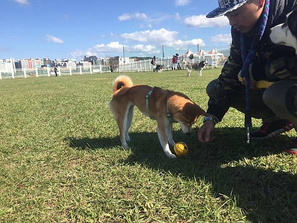 IMG_1186.JPG IMG_1186.JPG