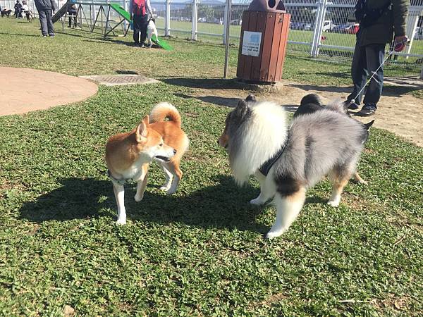 IMG_1177.JPG IMG_1177.JPG