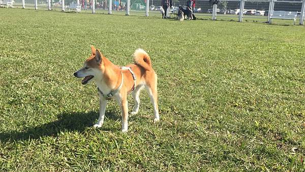 IMG_1194.JPG IMG_1194.JPG