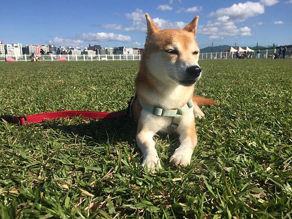 IMG_1296.JPG IMG_1296.JPG