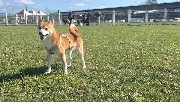 IMG_1198.JPG IMG_1198.JPG