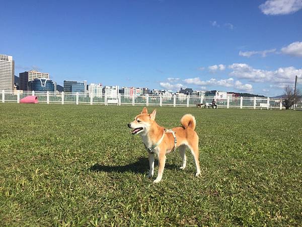 IMG_1238.JPG IMG_1238.JPG