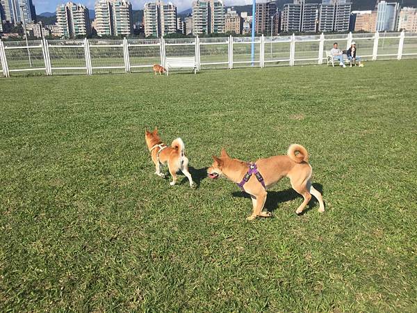 IMG_1240.JPG IMG_1240.JPG