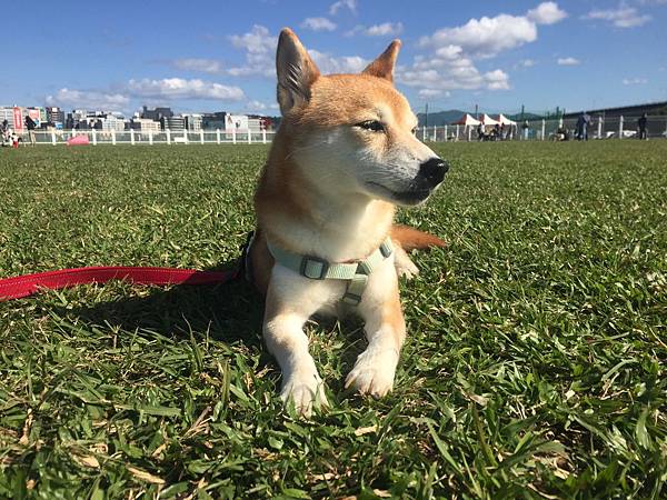 IMG_1297.JPG IMG_1297.JPG