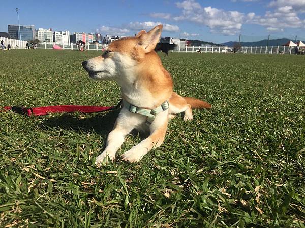 IMG_1292.JPG IMG_1292.JPG