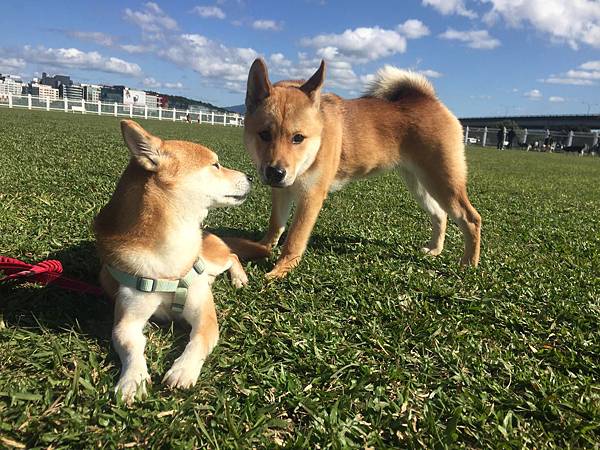 IMG_1311.JPG IMG_1311.JPG