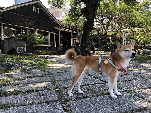 IMG_1205.JPG IMG_1205.JPG