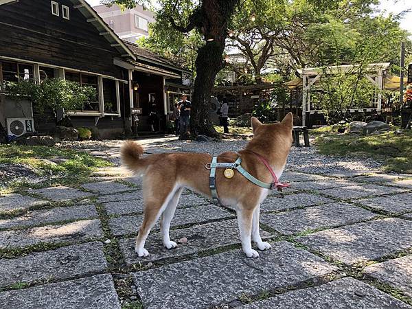 IMG_1206.JPG IMG_1206.JPG