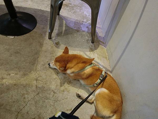 CIMG9367.JPG CIMG9367.JPG