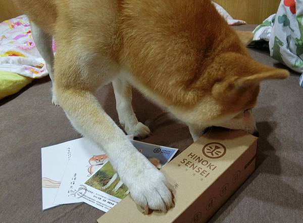 CIMG9472.jpg CIMG9472.jpg