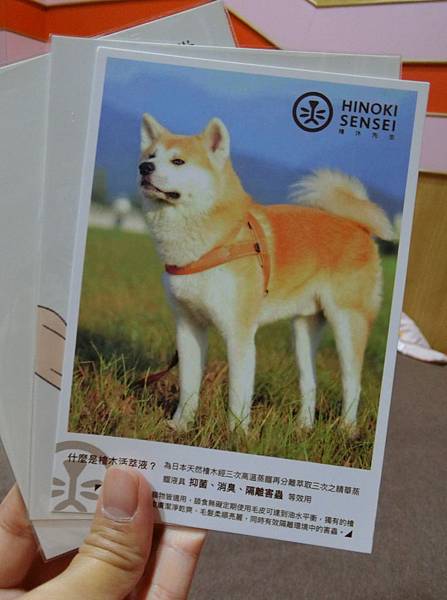 CIMG9470.jpg CIMG9470.jpg