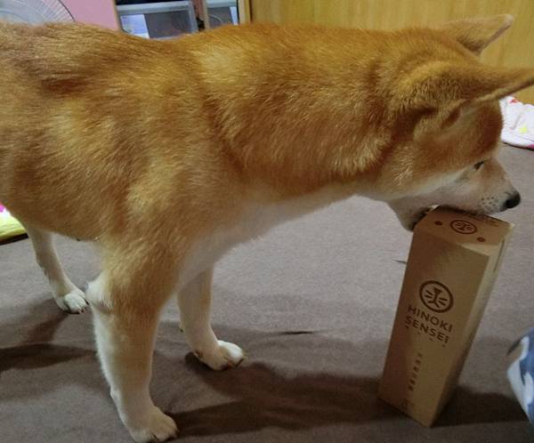 CIMG9468.jpg CIMG9468.jpg