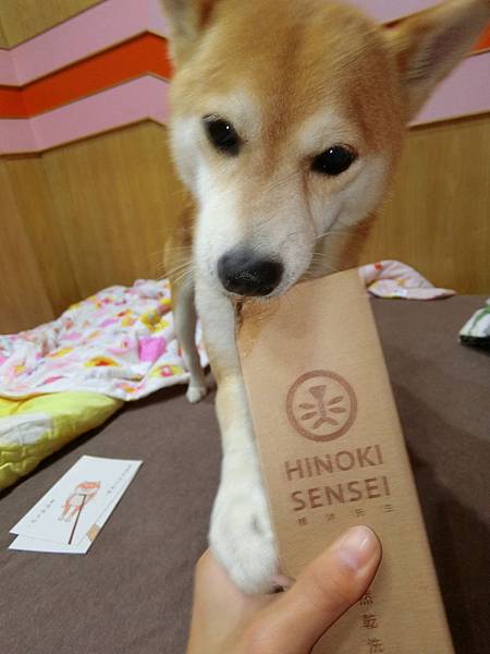 CIMG9476.jpg CIMG9476.jpg