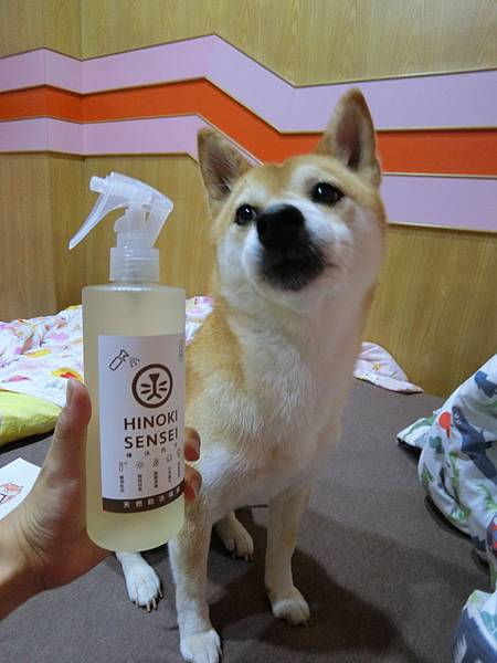 CIMG9485.jpg CIMG9485.jpg