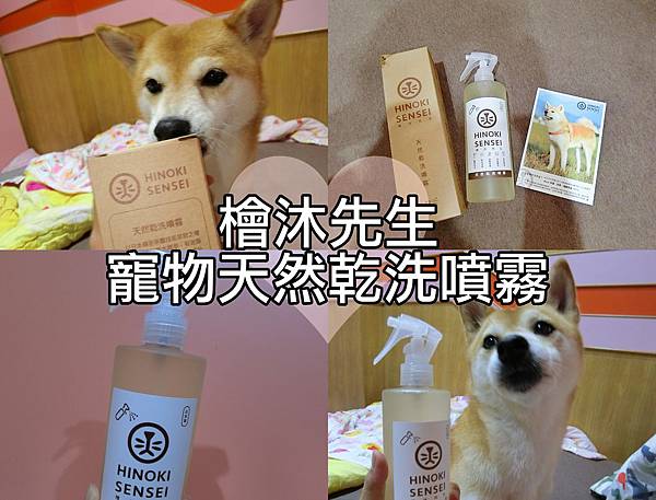 collage.jpg collage.jpg