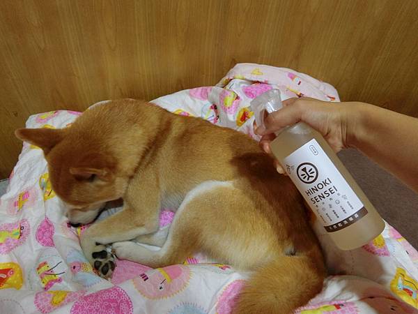 CIMG9494.jpg CIMG9494.jpg