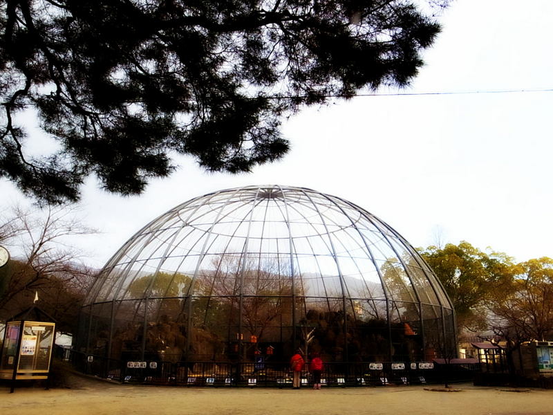 趕到動物園時已閉園