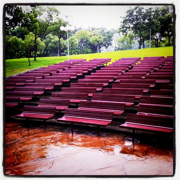 大安下雨的公園