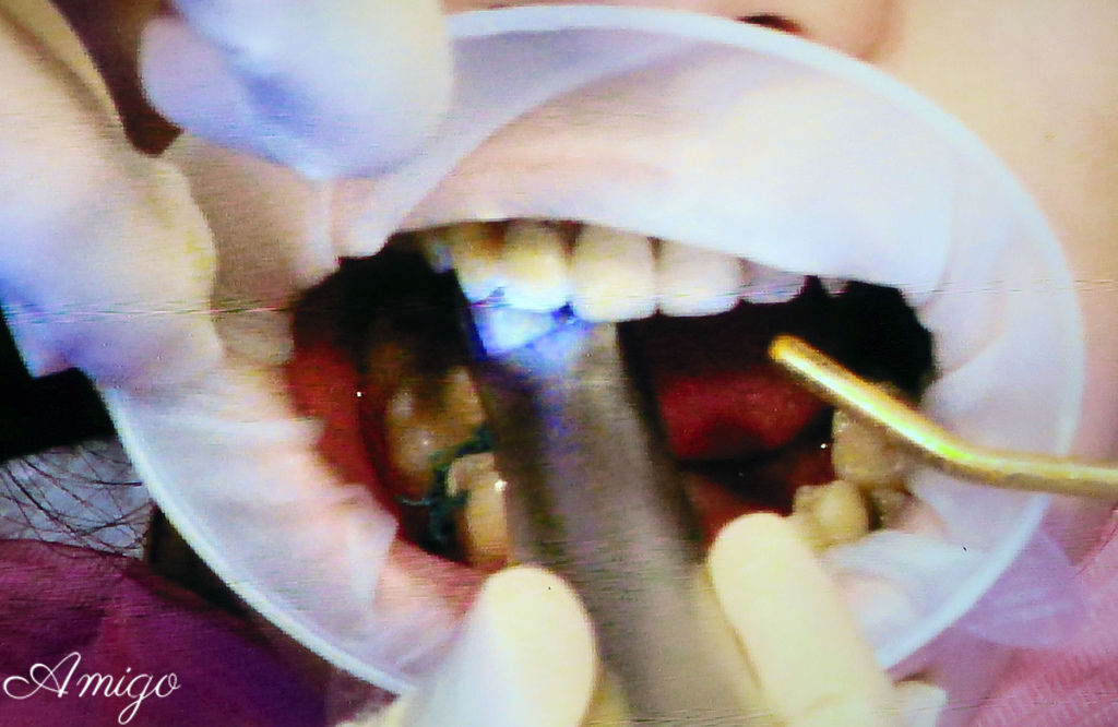 IMG_8637.JPG IMG_8637.JPG