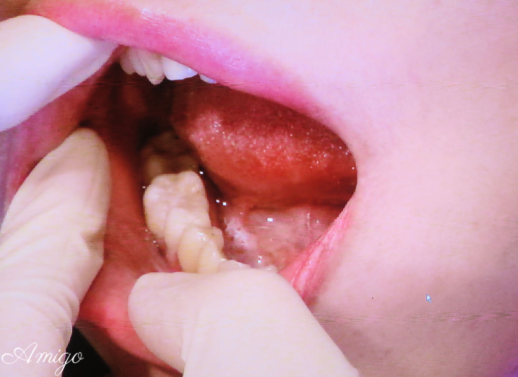 IMG_8718.JPG IMG_8718.JPG